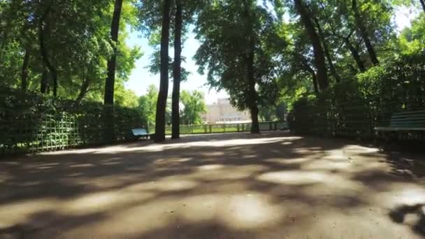 Groene park zomertuin — Stockvideo