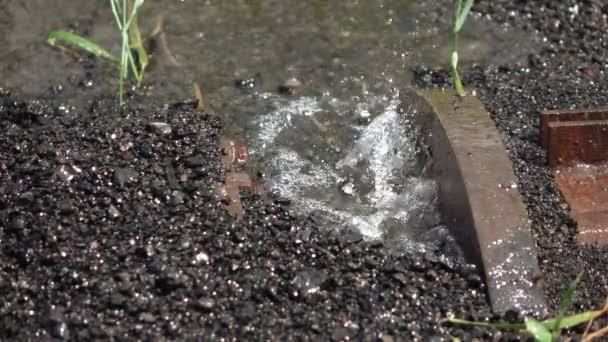 Leaking water pipe — Stock Video