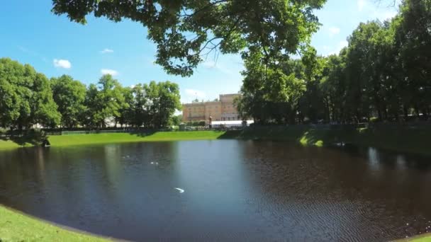 Jardim de Verão do parque verde — Vídeo de Stock