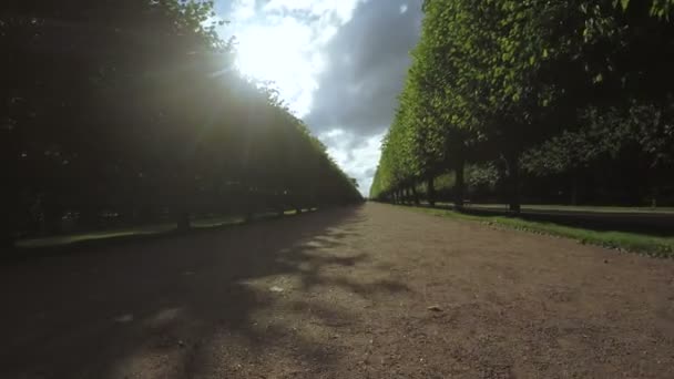 Callejón en el Parque en Peterhof — Vídeo de stock