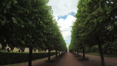 Peterhof parkta sokakta