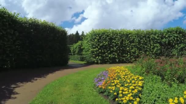 Labirinto entre os arbustos e canteiro de flores — Vídeo de Stock
