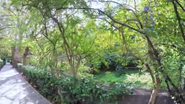 Gurzuf Oktober 2016 Kamera Bewegt Sich Auf Stahlbetonpfad Park Aivazovsky — Stockvideo