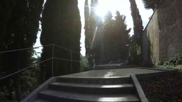 Gurzuf Octubre 2016 Cámara Mueve Steadicam Escaleras Hormigón Parque Aivazovsky — Vídeo de stock