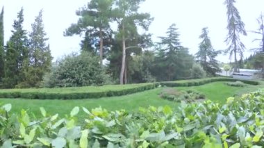 GURZUF, Ekim 2016: Aivazovsky parkında kameralı hareketler, Ekim 2016 Gurzuf, Kırım