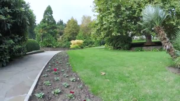 Gurzuf Octobre 2016 Caméra Déplace Sur Chemin Béton Steadicam Dans — Video