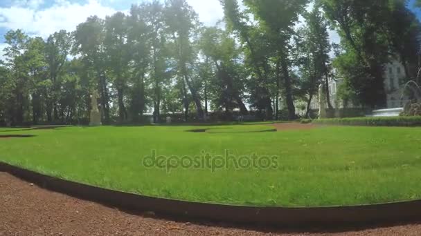 Parco verde Giardino d'estate — Video Stock