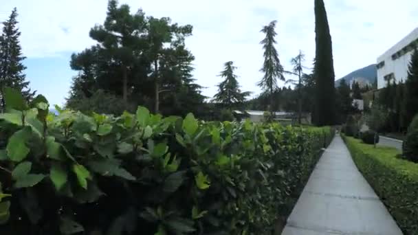 Gurzuf October 2016 Camera Moves Steadicam Concrete Path Park Aivazovsky — Stock Video