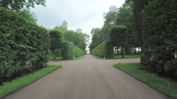 Алея парку в місті Peterhof — стокове відео