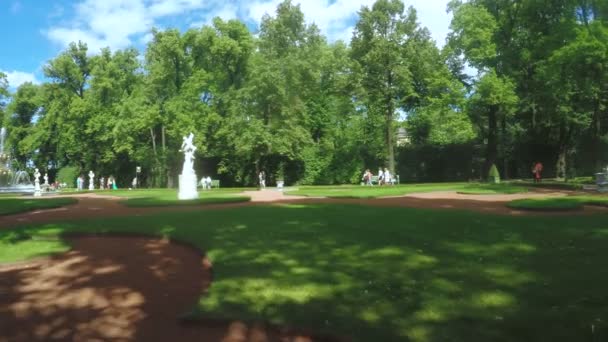 Зелений парк Літній сад — стокове відео