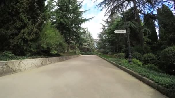 Путь в столичном парке — стоковое видео