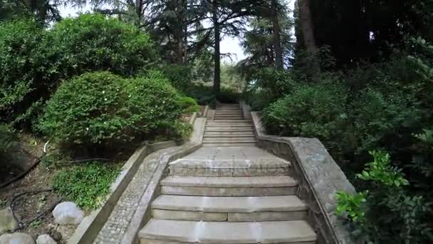 Escaleras en el parque de la ciudad — Vídeos de Stock