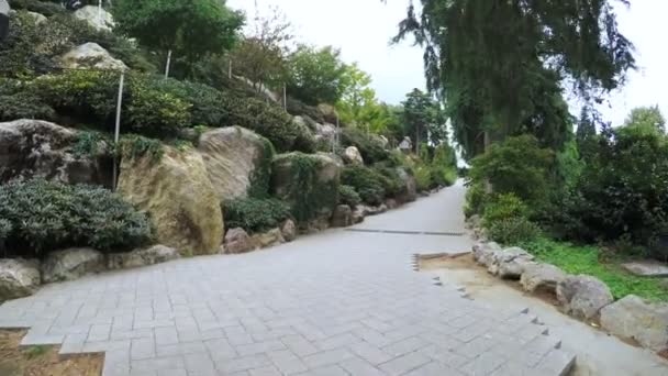 Ворота и тропинка в японском саду — стоковое видео