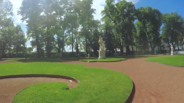Parque verde Jardín de verano — Vídeo de stock
