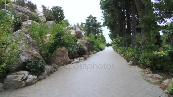 Poort en pad in Japanse tuin — Stockvideo