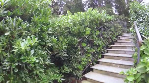 Escaleras en el parque de la ciudad — Vídeo de stock