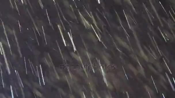 Starker Schneefall im Blickpunkt — Stockvideo