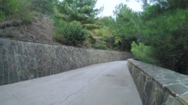 Dağ Park Road