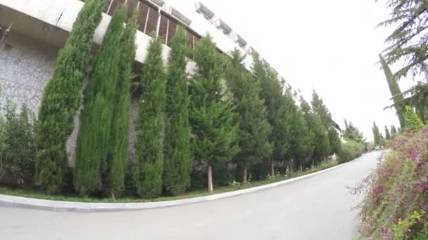 Gurzuf Outubro 2016 Câmera Move Steadicam Caminho Concreto Parque Aivazovsky — Vídeo de Stock