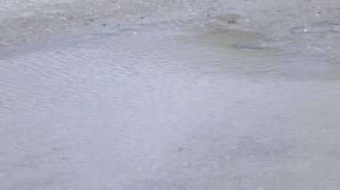 Rüzgar gelen su Ripples