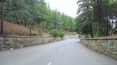 Dağ Park Road