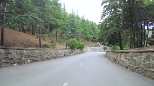 Road in mountain park — Stockvideo