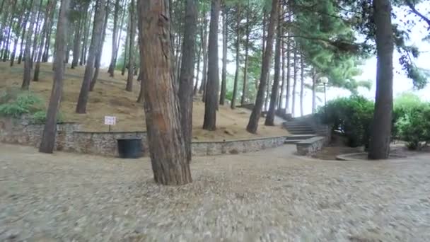 도시 공원에서 계단 — 비디오