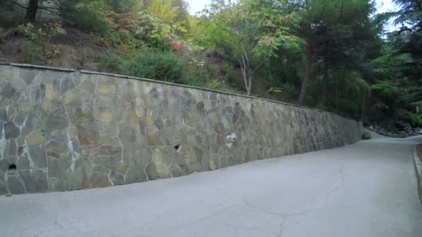 路在山公园 — 图库视频影像