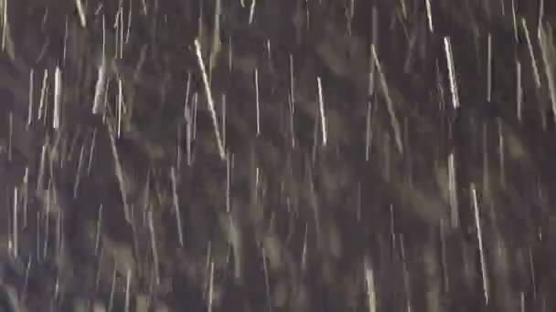 La neige lourde sous les projecteurs — Video