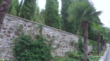 Bahçenizi palmiye ağaçları ile