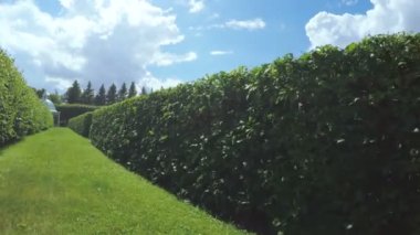 Çalıların arasında labirent