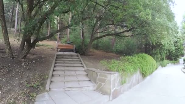 市内公園のベンチ — ストック動画