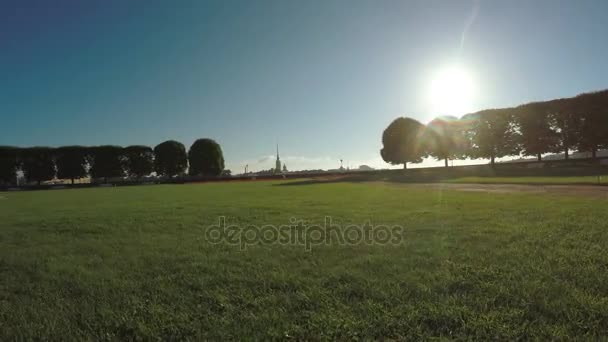 Prato alla luce del sole del mattino — Video Stock