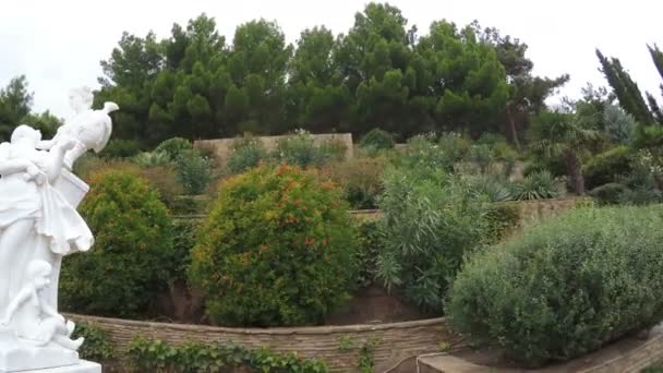 Macizos de flores con palmeras — Vídeos de Stock