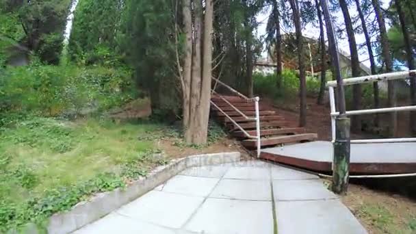 Stairs in citys park — Stock Video