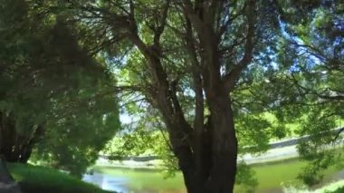 Pskov Kremlin yaz aylarında