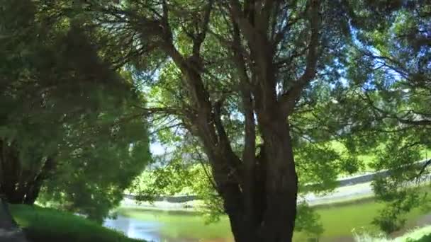 Pskov Kremlin en été 