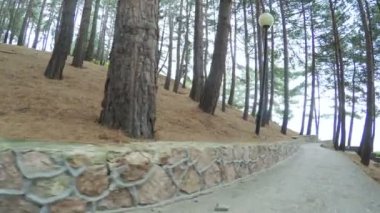 Merdiven kentin Park