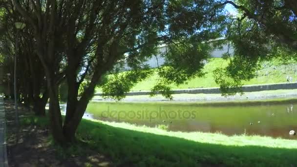 Pskov Kremlin in de zomer — Stockvideo