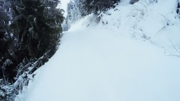 Descenso esquí invierno — Vídeos de Stock