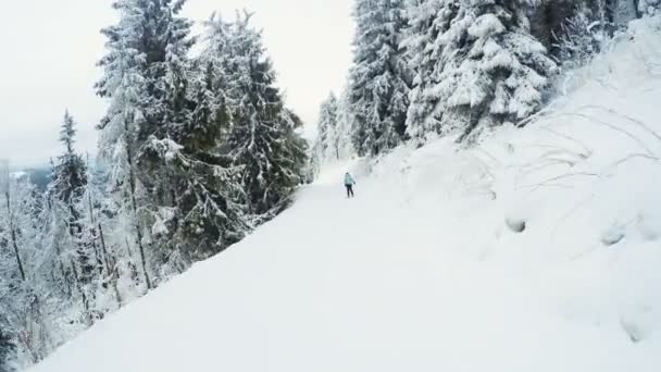 Ski descent winter — Stock Video