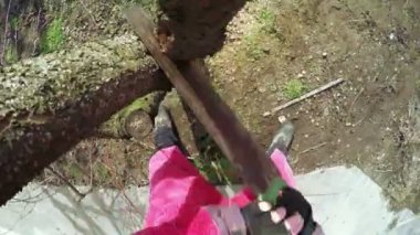 Budama ağaçları kış