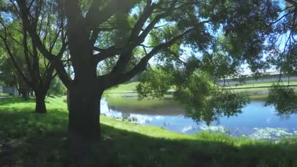 Pskov Kremlin en verano — Vídeos de Stock