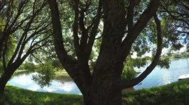 Pskov Kremlin yaz aylarında