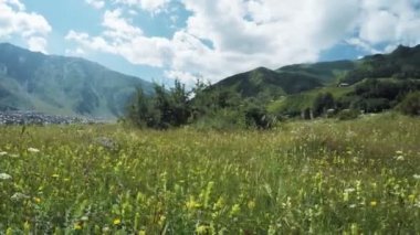 Alpine meadows yolundaki