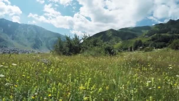 Camino en prados alpinos — Vídeo de stock