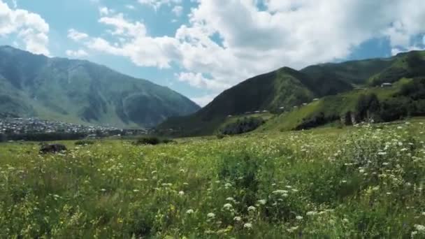 高山草原でパス — ストック動画