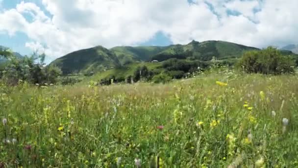 Camino en prados alpinos — Vídeo de stock