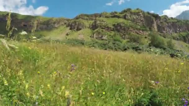 Camino en prados alpinos — Vídeo de stock