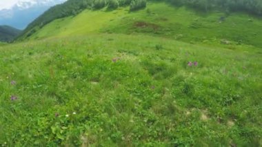 Alpine meadows yolundaki